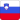 ncs-slovenia-flag